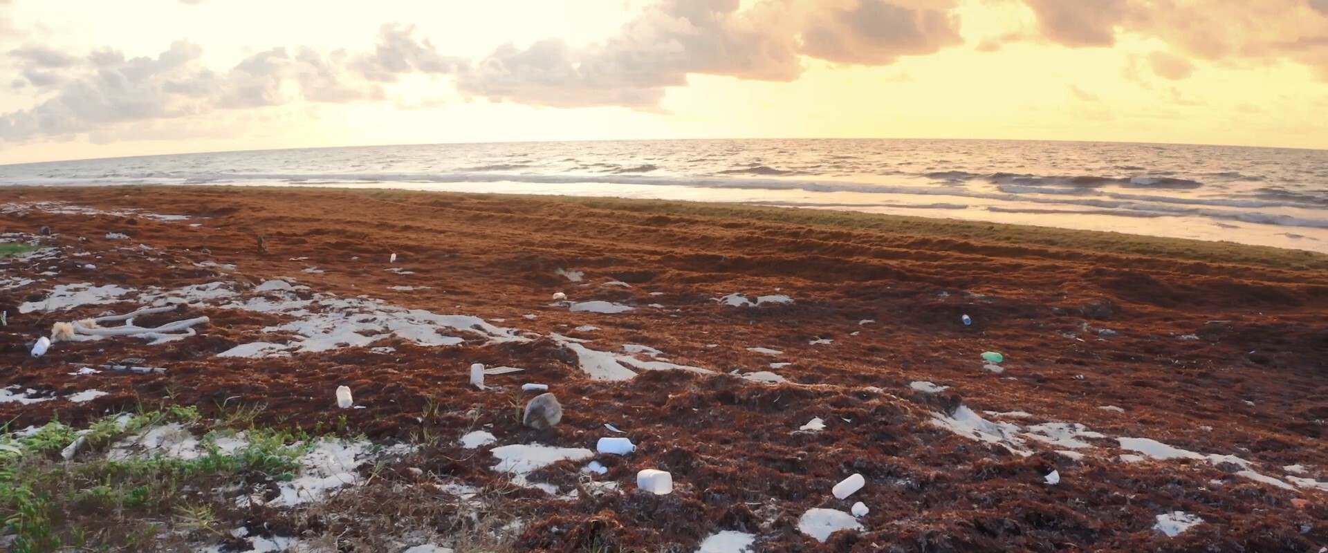 Imagine a world free of plastic - Corona cleans up beaches around the world